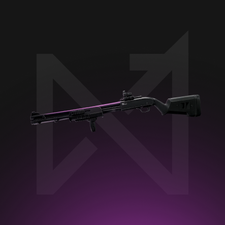 Shotguns Leveling boost service