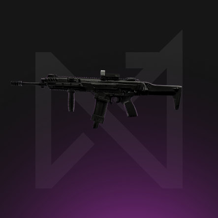 Assault Rifles Leveling boost service